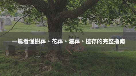 花葬|樹葬、花葬的好處在哪裡？ 不需墓地、造碑且零花。